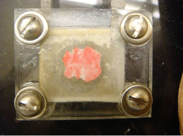 Mapping Tactile Pressure in Laminated Battery Structures: Laminated Superconductor Assembly with Developed Fuji Prescale Film
